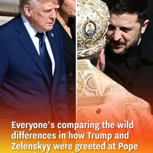 Everyone’s comparing the wild differences in how Trump and Zelenskyy were greeted at Pope Francis’ funeral