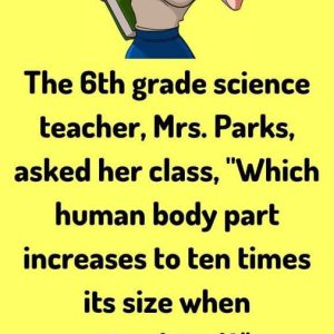 Little girl’s dirty answer teacher to golden comeback