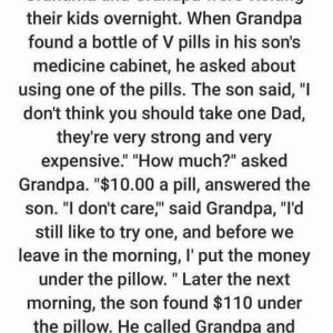 Story: Grandma and Grandpa were visiting their kids overnight