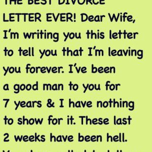 He Sent a Divorce Letter — But She Had the Last Word