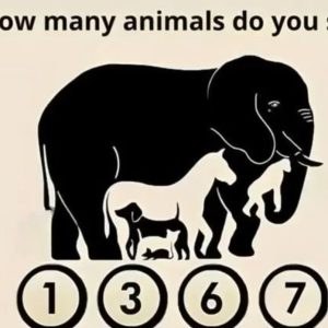 How Many Hidden Animals Can You Find in This Picture?