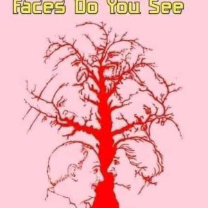 Everyone can see the first two faces in this illusion…