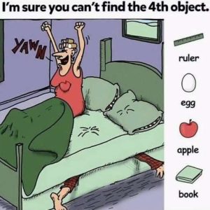 Locate the ruler, egg, and apple. I’m sure the fourth object will be hard to find.