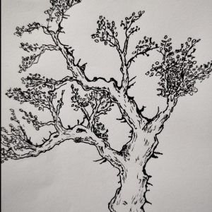 Find all the hidden faces in the picture