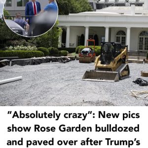 It’s hard to recognize the White House Rose Garden these days