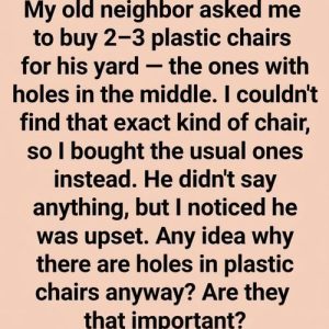 WHY MY NEIGHBOR WANTED CHAIRS WITH HOLES—AND WHAT I LEARNED TOO LATE