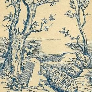 There’s a rabbit hiding in the picture