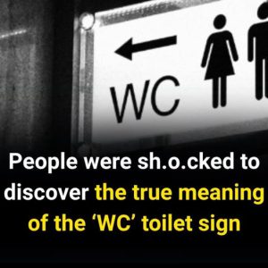 Everyone Sees This Sign — But Not Everyone Knows Its Fascinating History