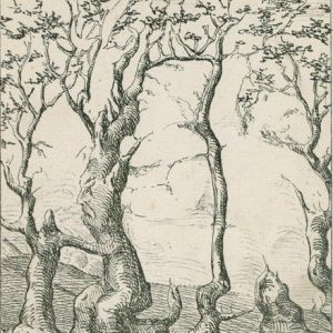 Besides the gnome, there is a bear, a fox and a wood goblin in the picture. Only not everyone will see them