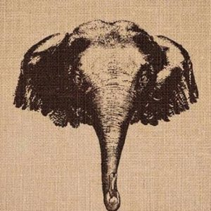 Test your eyesight: Where is the duck hiding?