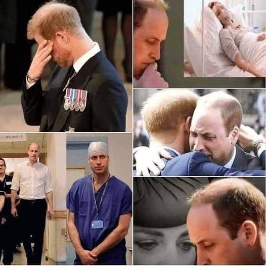 DEADLY FALL Prince Harry is devastated with grief. With heavy hearts, we announce the passing…See more